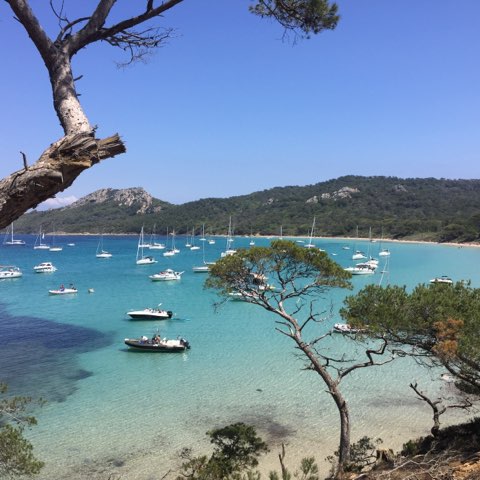 Ile de Porquerolles